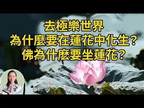 蓮花 意思|蓮